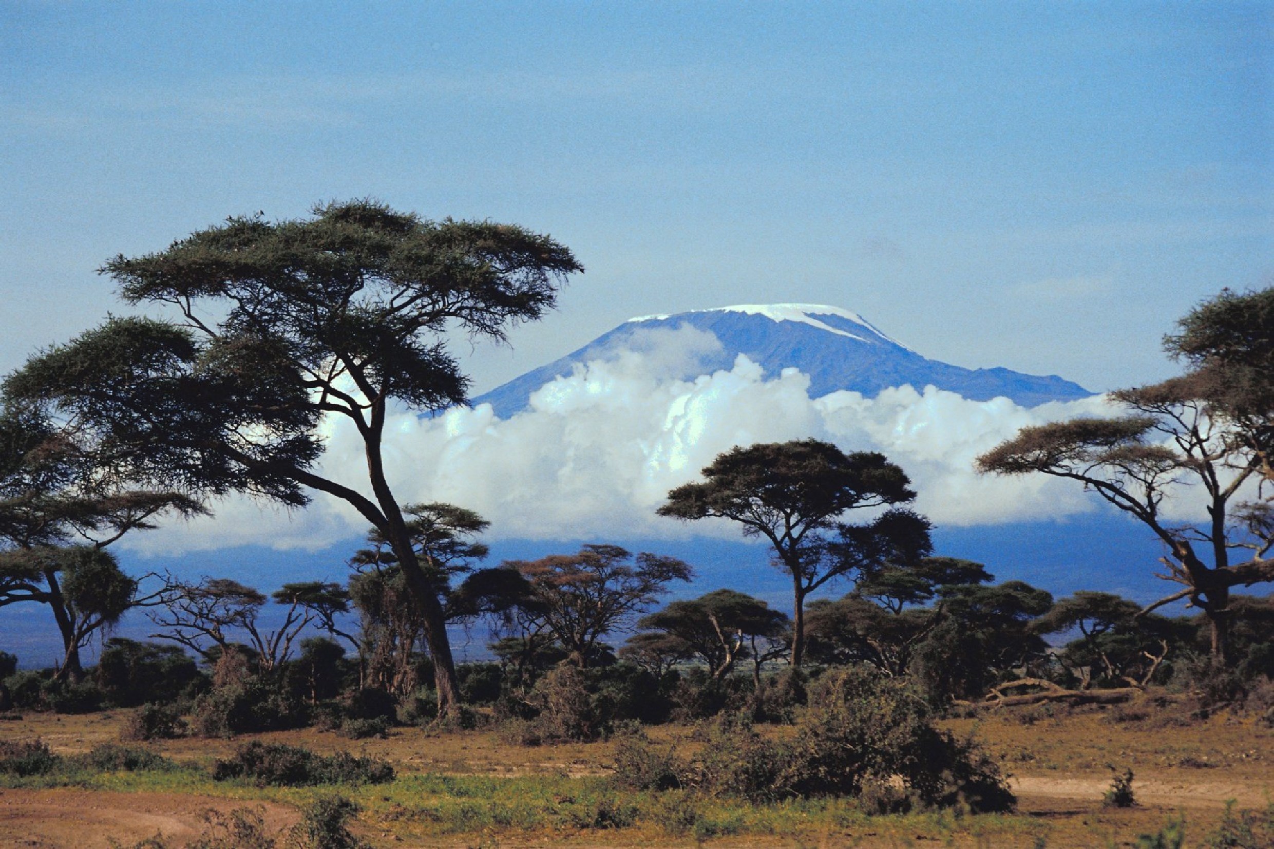 Какие природные зоны в восточной африке. Саванна Килиманджаро. Танзания Килиманджаро. Танзания гора Килиманджаро. Климатические зоны Килиманджаро.